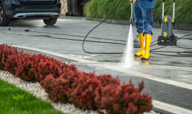 Best Solar Panel Cleaning  in Forest City, FL
